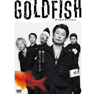 亜無亜危異　GOLDFISH　DVD　セット販売